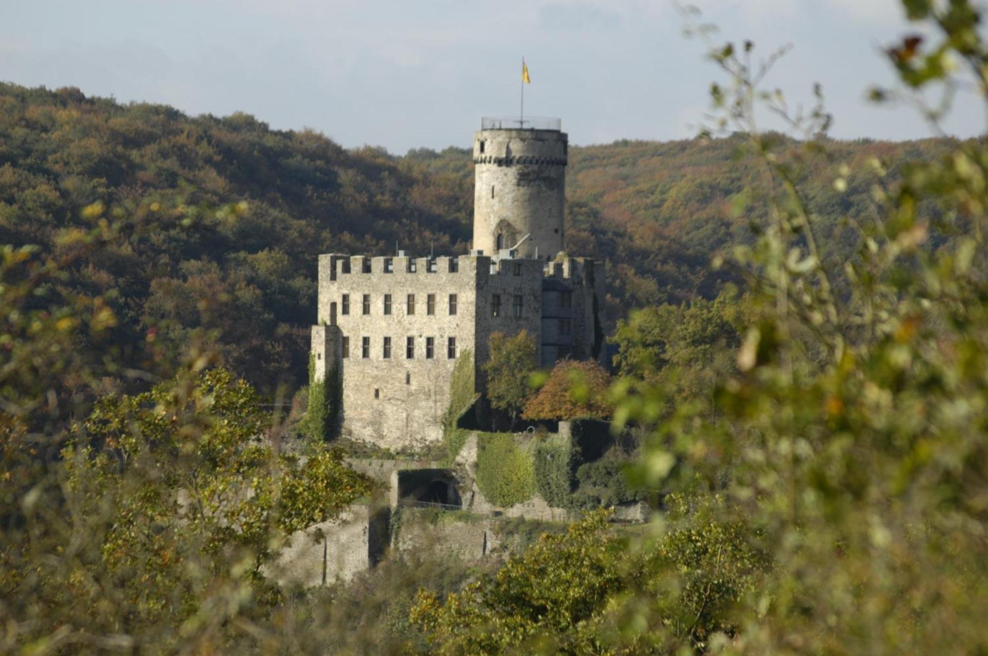 Stiftsherrenhaus Münstermaifeld المظهر الخارجي الصورة
